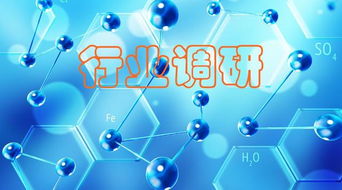 新材料 聚焦“小而精”，调研洞察化工原料需求，网络技术研究赋能产业创新